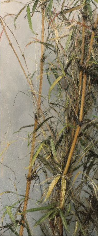 Leng Jun
