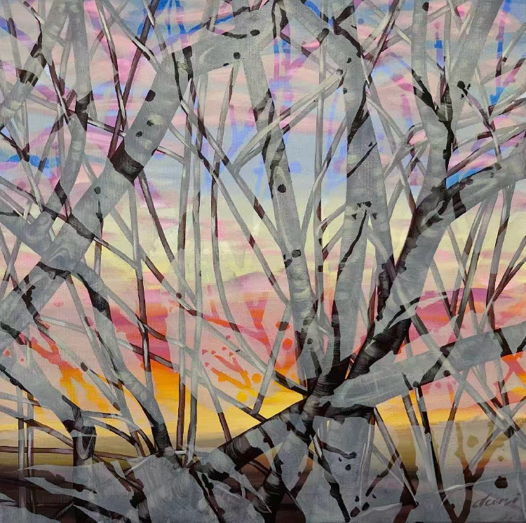 Donna Corvi