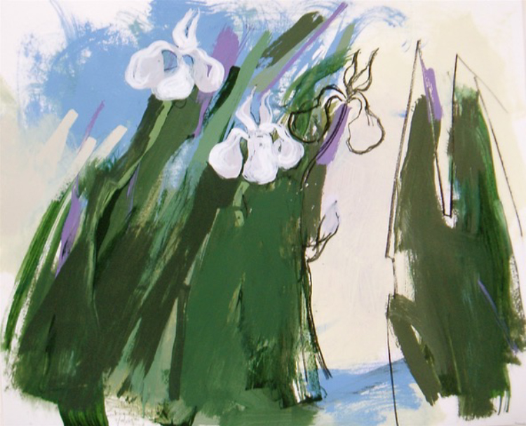 Anne Seelbach